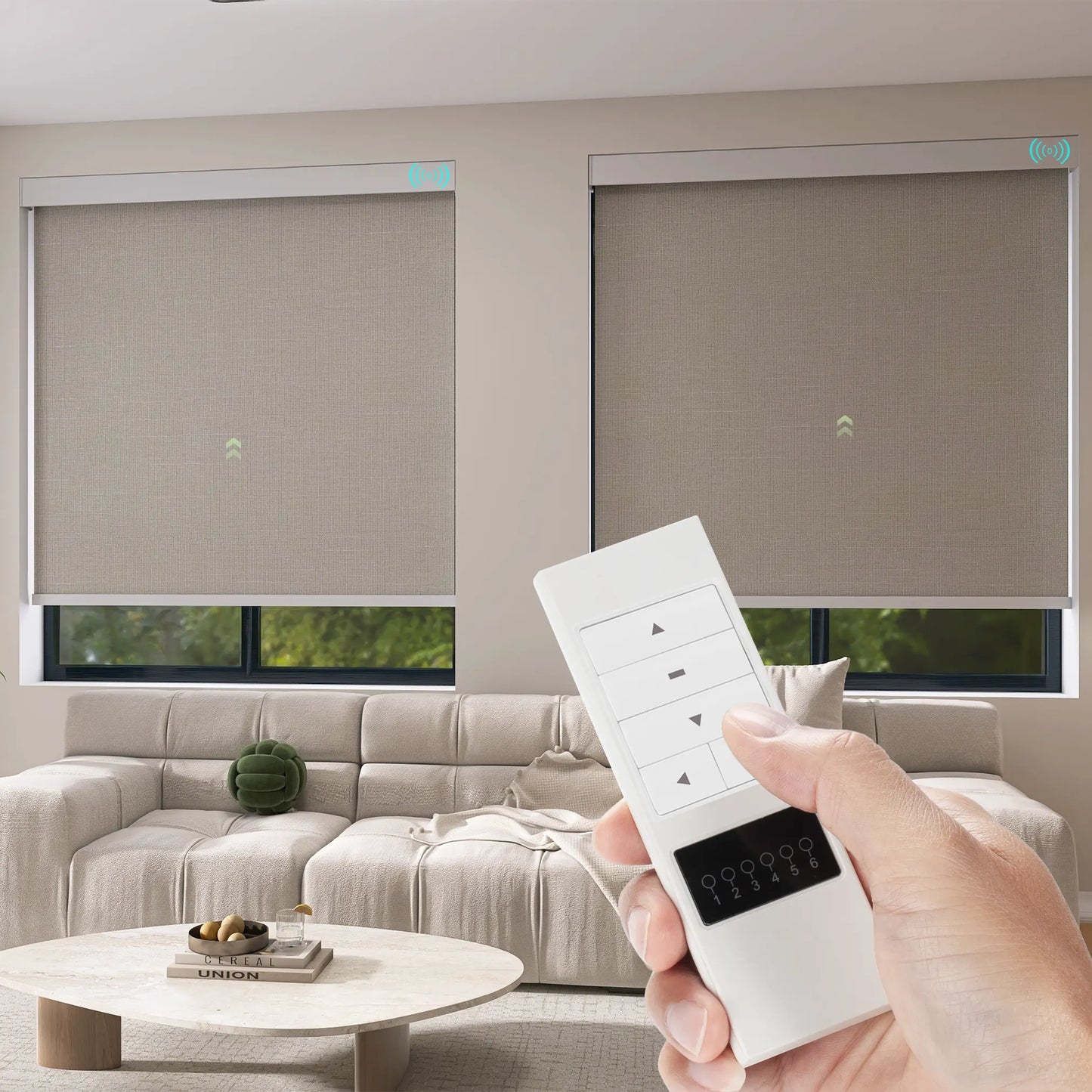 Remote for Motorized Roller, Zebra, Roman Shades