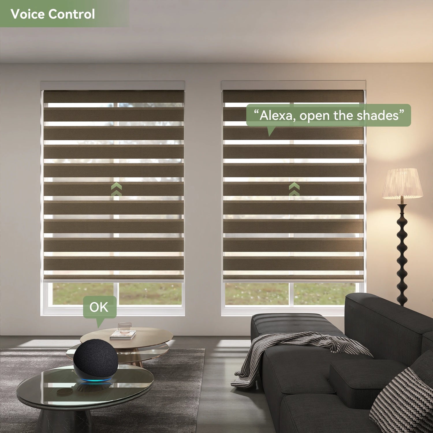 Woman using voice command to control zebra shades in modern living room